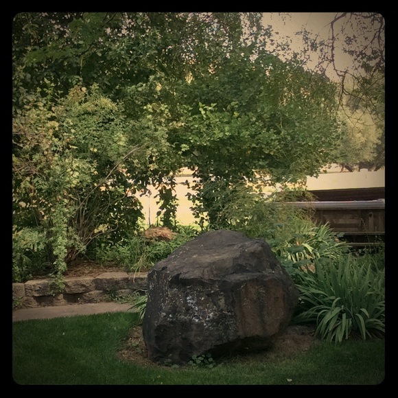 Meet your Posher, Anthony - Picture 1 of 1